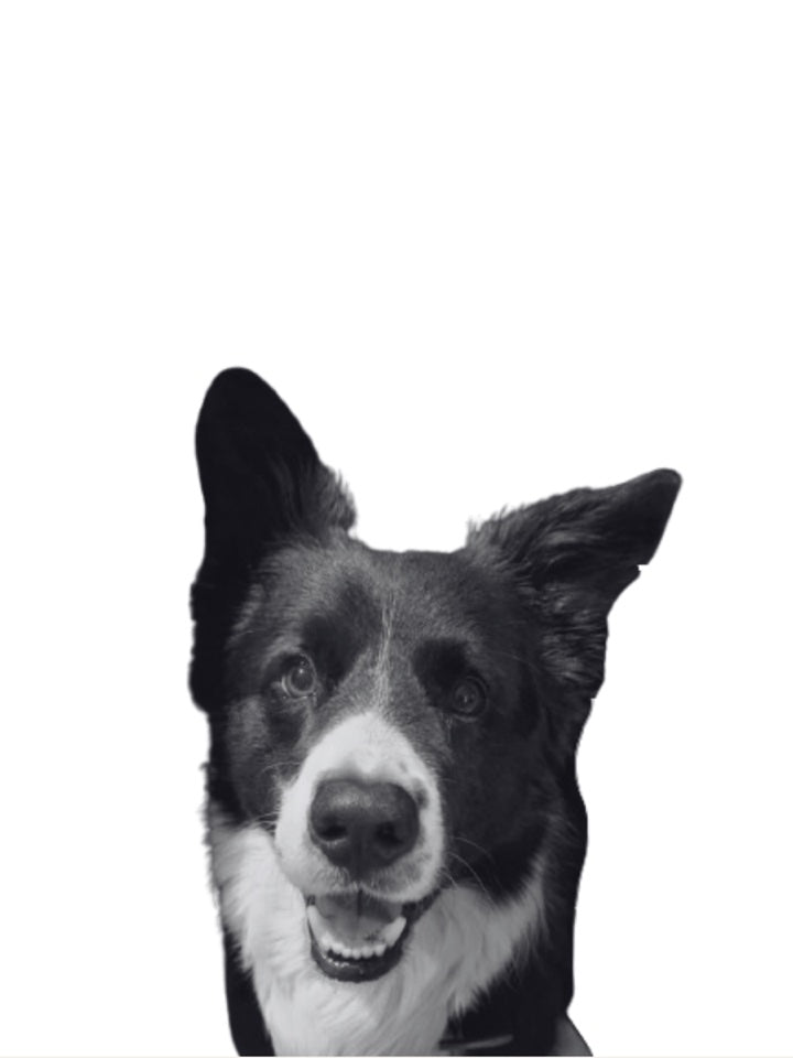 Mascot Portrait de Memoira